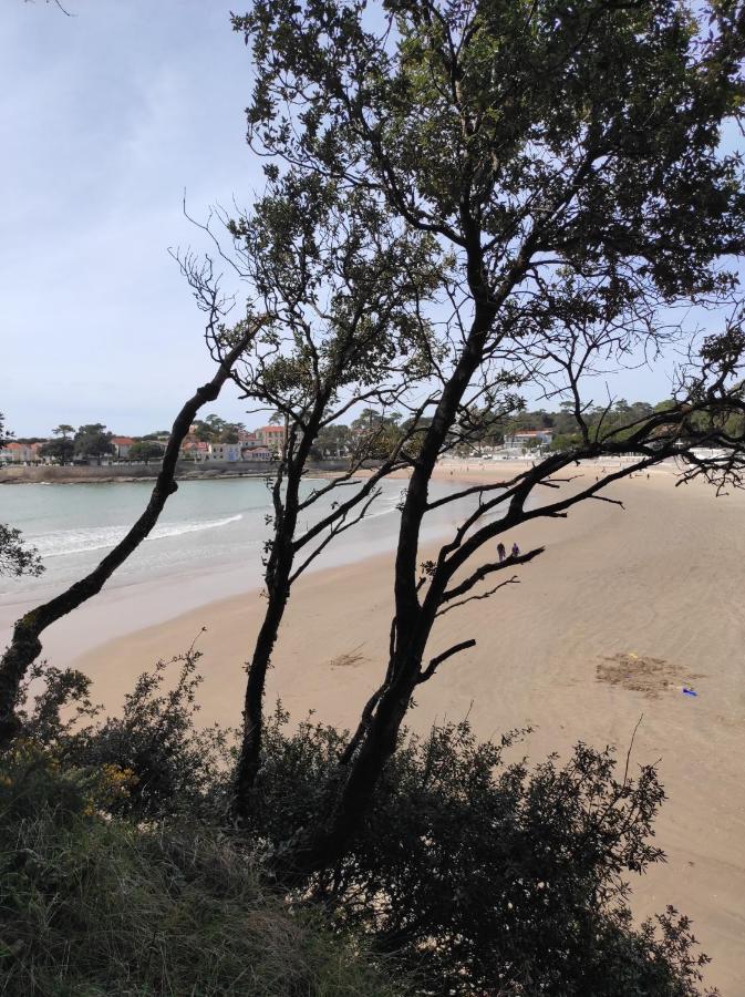 A L'Abordage, Appartement 2 Pieces Plage De Nauzan Vaux-sur-Mer Eksteriør billede